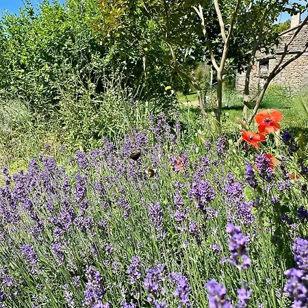 Les Mirabelles 펜션 Caylus